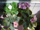 DSC02978