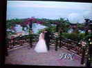 la6wh
