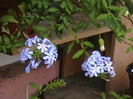 Picture 004