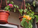 Picture 007