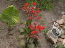 Picture 020