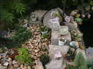 Picture 022