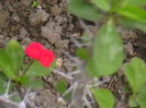 Picture 024