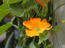 Picture 040