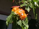 Picture 048