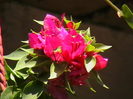 Picture 049