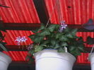 Picture 054