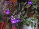 Picture 056