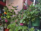 Picture 057
