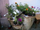 Picture 075