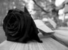 images (92)