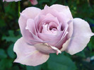 DSC02400