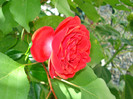 DSC02469