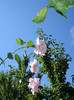 DSC02491