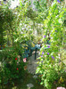 DSC02571