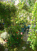 DSC02570