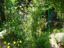 DSC02565