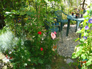 DSC02516