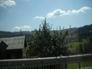 Picture 2592