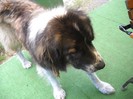 Picture 2678