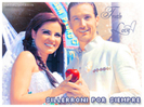 bannersillerroniboda
