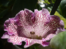 P1090533