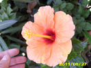 Picture 004