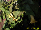 Picture 005