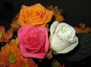 images (5)