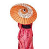 umbrele coreene (1)