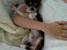 _BelindaPhotosCom_Twitter_2011_24