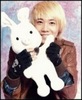 Lovecat. (62)