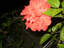 P1240021