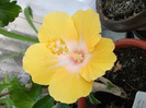 DSCF1274