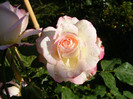 Jubile du Prince de Monaco