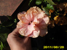 Picture 009
