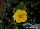Picture 008