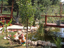 DSC00906