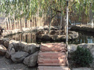 DSC00899