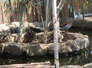 DSC00901