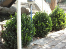 DSC00902