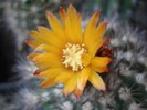 DSC04862
