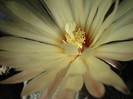 DSC04846