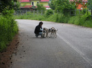 PICT0246