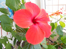 DSCN0012