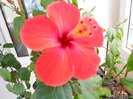 DSCN0013