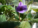 P1090577