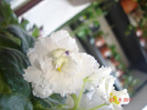 DSC03380