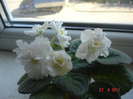 DSC03383