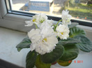 DSC03385